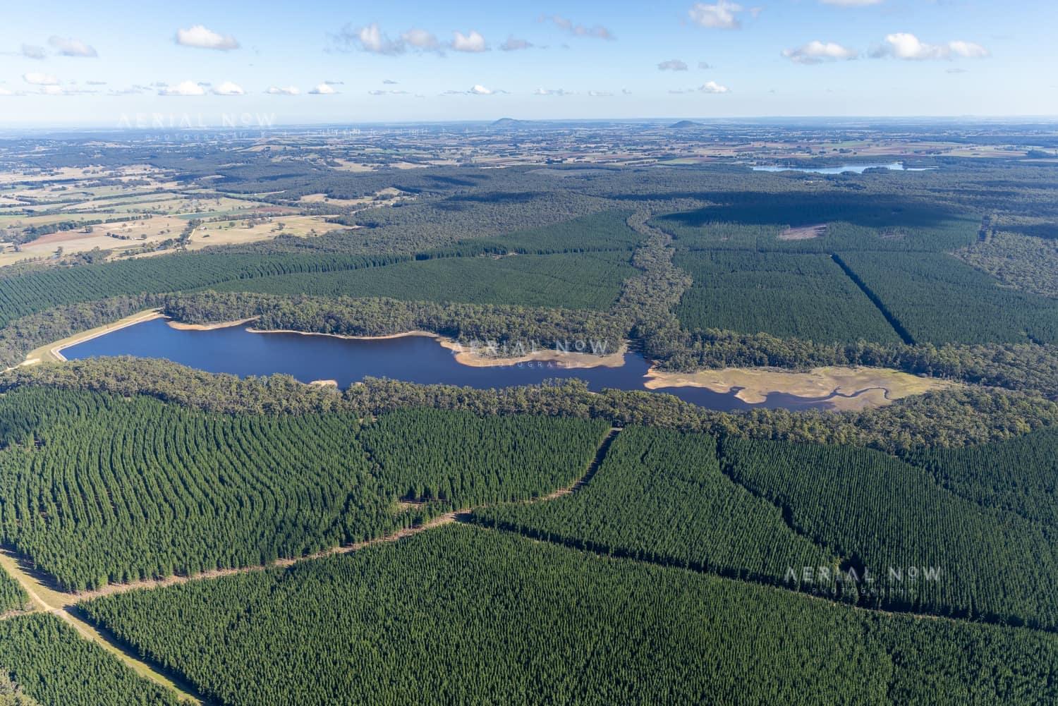 Aerial view of Bostock Reservoir near Spargo Creek, showing the reservoir inlet, irregular shoreline and surrounding plantation forest.
