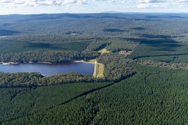 Aerial view of Bostock Reservoir at Spargo Creek VIC, showing the dam wall or spillway beside the water storage and surrounding pine forest.