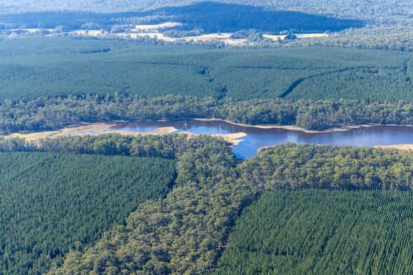 Aerial view of Bostock Reservoir near Bolwarrah, showing a narrow inlet, exposed pale shoreline, surrounding forest and plantation blocks.