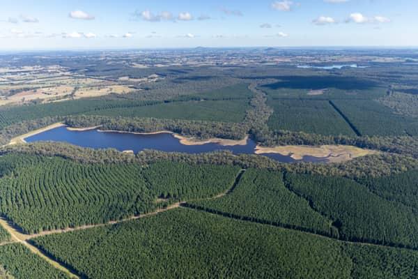 Aerial view of Bostock Reservoir near Spargo Creek, showing the reservoir inlet, irregular shoreline and surrounding plantation forest.