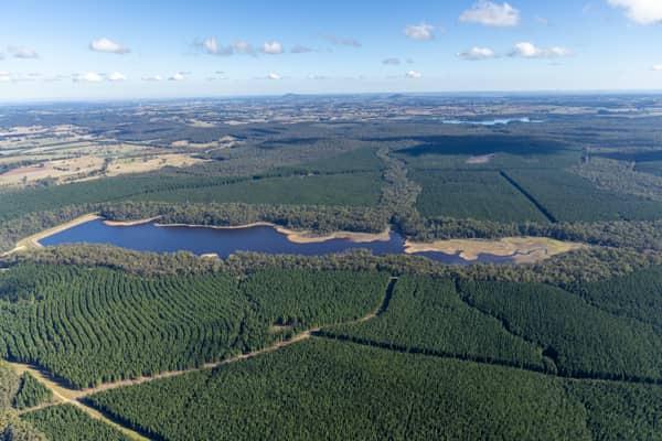 Aerial view of Bostock Reservoir at Spargo Creek, with dark water bordered by forest, pine plantations, access tracks and surrounding rural land.