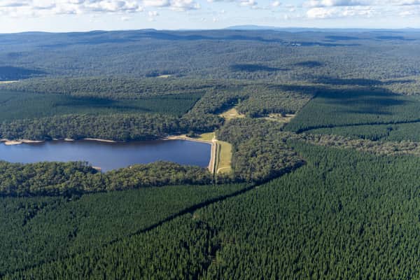 Aerial view of Bostock Reservoir at Spargo Creek VIC, showing the dam wall or spillway beside the water storage and surrounding pine forest.