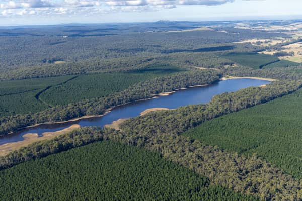 Aerial view of Bostock Reservoir with a narrow shoreline surrounded by dense forest and plantation land near Bolwarrah, Victoria.