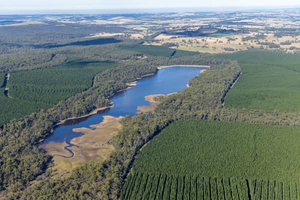 Aerial view of Bostock Reservoir at Spargo Creek, showing the forested shoreline, shallow inlet areas and surrounding pine plantations and farmland.
