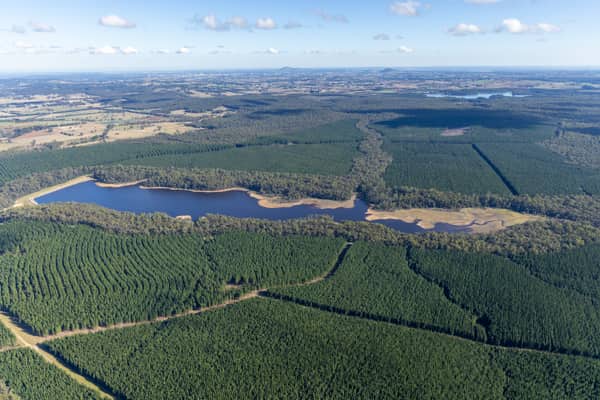 Aerial view of Bostock Reservoir near Spargo Creek, showing the reservoir inlet, irregular shoreline and surrounding plantation forest.