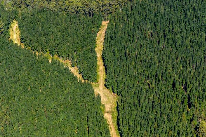Aerial view of a cleared firebreak and access track cutting through dense pine plantation forest near Beech Forest in the Otway Ranges, Victoria.