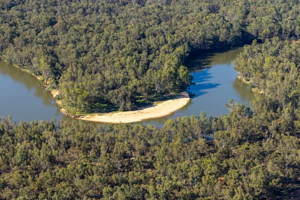 Aerial view of the Murray River curving around a sandy point bar amid dense riparian woodland at Cobram East, Victoria.